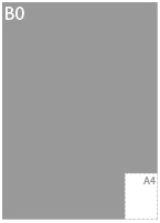 B0<br/><span style='font-size:11px;'>(100,0 * 140,0 cm)</span>